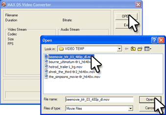 MAX DS Video Converter screenshot