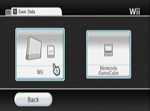 Wii DM2.JPG